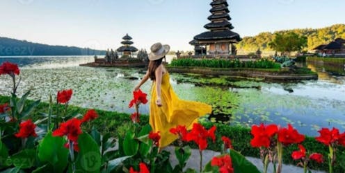 Bali private bespoke guided day tour